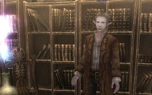Magic-shop-clerk
