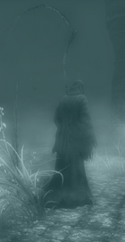 Walker