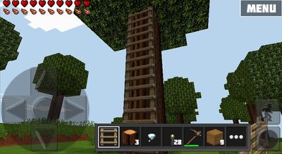 LADDERS22
