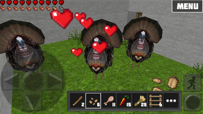 Turkey2