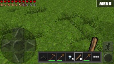 Grass