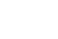 AssamiteVizier