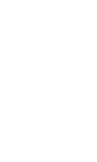 Volgirre