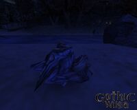 Scavenger sleeping