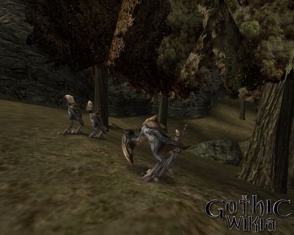 File:Scavenger pack.jpg