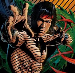 Shang Chi