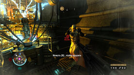Wolf2 2016-12-09 15-33-58-545