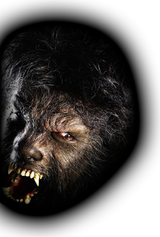 File:Wolfmanright.png