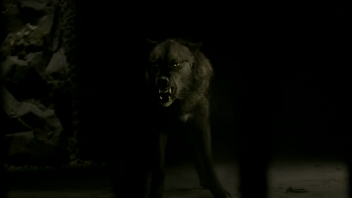 Tyler Lockwood Werewolves Wiki FANDOM powered by Wikia Tyler Lockwood Werewolves Wiki FANDOM powered by Wikia