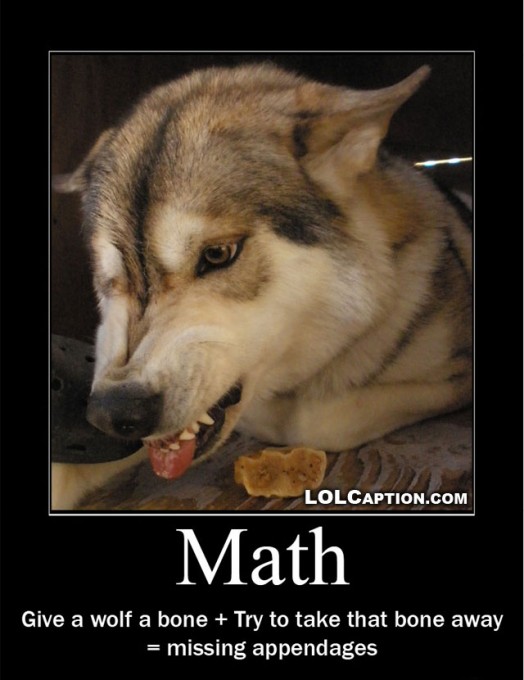 wolf math alpha