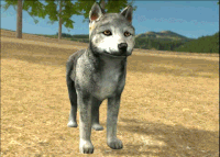 Wqpupanim0001