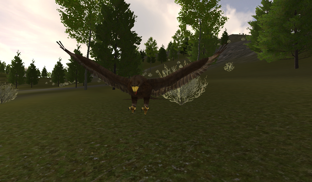 Golden Eagle 27 Wolfquest Wiki Fandom