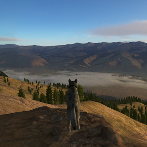Skybox Wolfquest Wiki Fandom