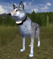 Wolf quest 27 free download torrent