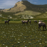 yellowstone roblox how to hunt