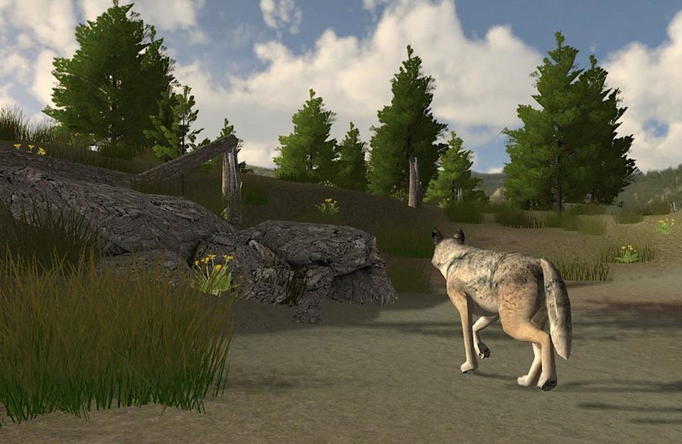 Play wolf quest online free no download