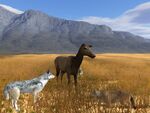 Elkstanding4.normal