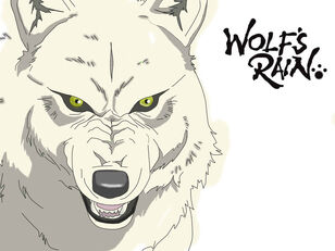 Kiba | Wolf's Rain Wiki | FANDOM powered by Wikia
