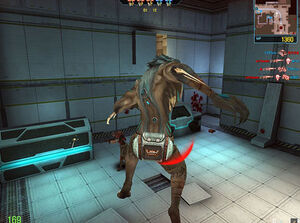 Wt wolf