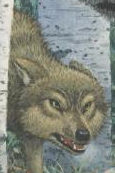 Wolves of beyond