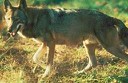 Banja
