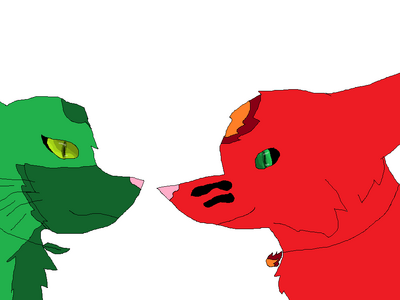 Firelightning the wolf and Leafstorm the fox