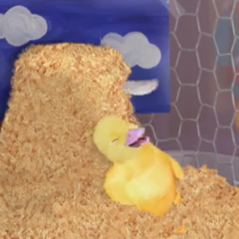 Ming-Ming | Wonder Pets Crossovers Wiki | Fandom