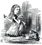Dinah and kittens-0