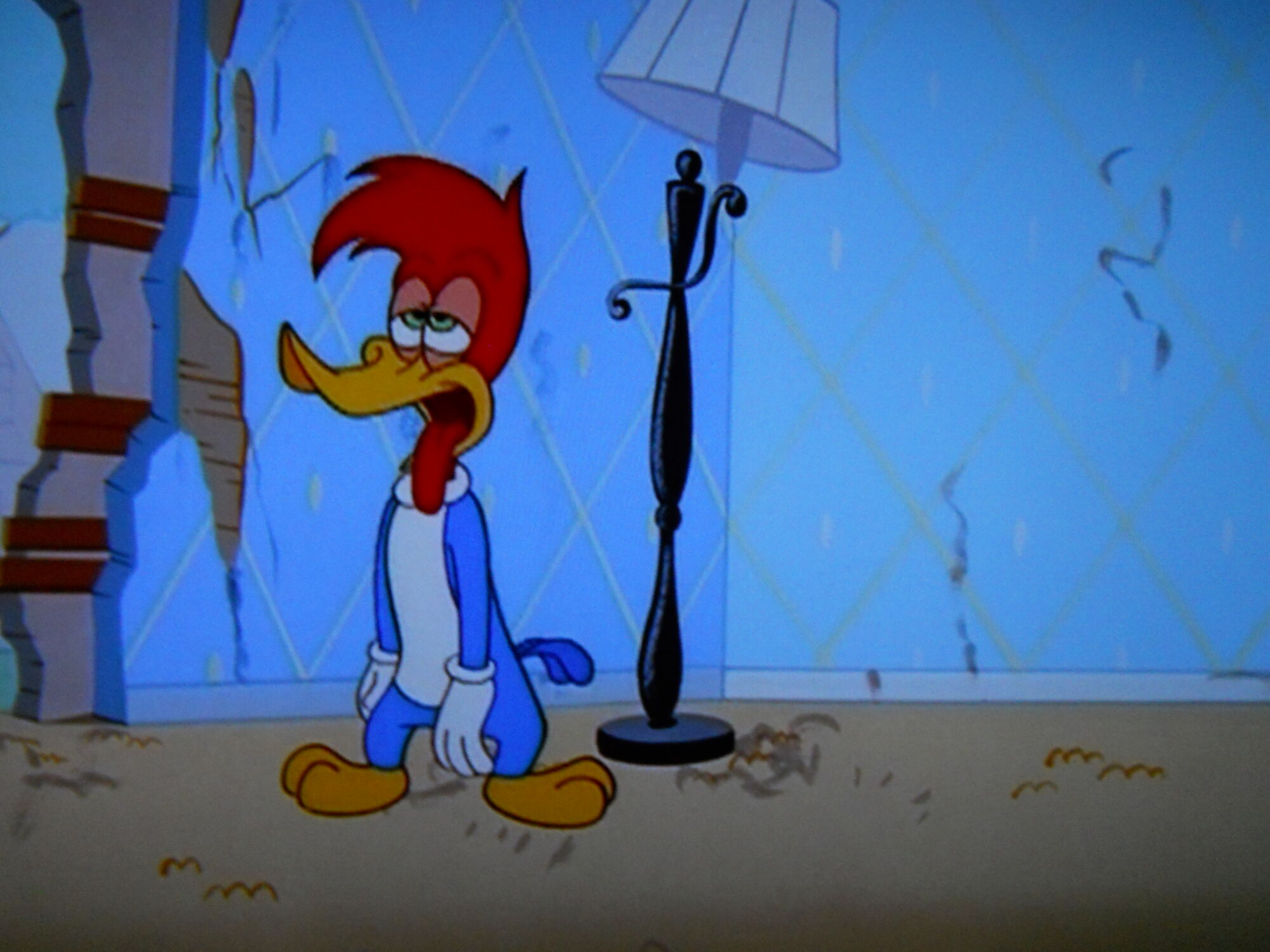 gorgeous gal woody woodpecker
