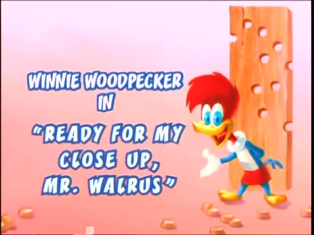 Ready for My Close-Up, Mr. Walrus | The Woody Woodpecker Wiki | FANDOM