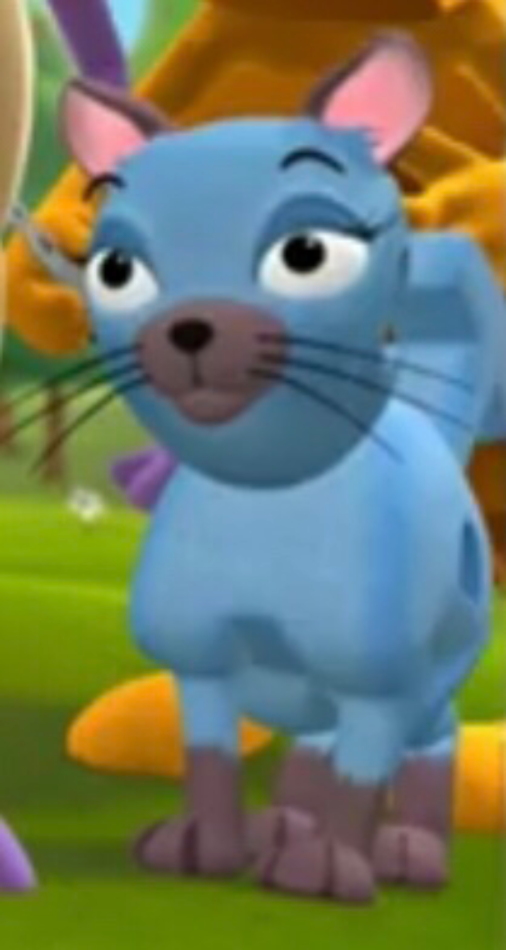 Cat with gray fur