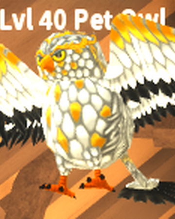 Owl Pet World Zero Wiki Fandom - roblox world zero alpha dragon pet