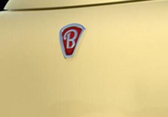 Bella Mchina logo.