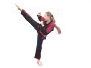 Taylorkick