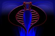Cobra