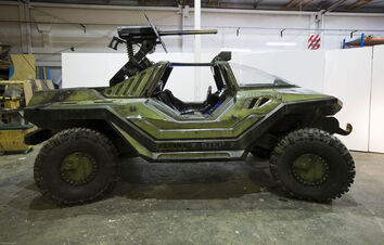 Warthog halo