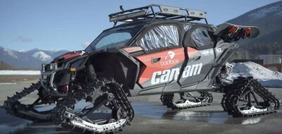 Ng canam