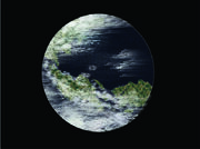NewDawn2