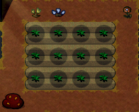 Secret field