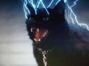 Electromagnetic cat