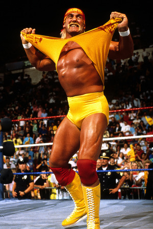 Hulk Hogan | WWE Wiki | FANDOM powered by Wikia