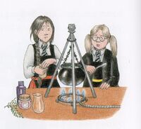 Img018