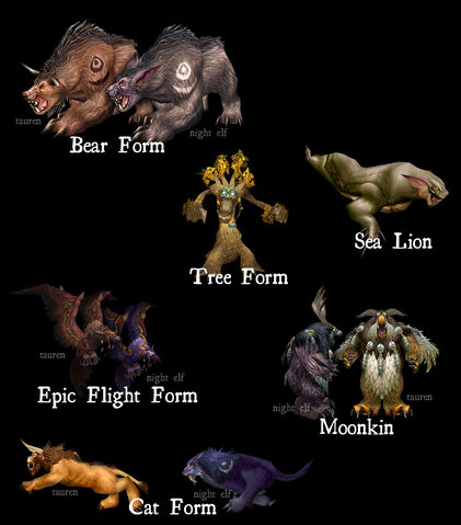 Plik:Forms.jpg