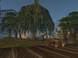 menethil