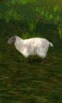Mouton wow