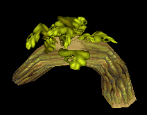 Liferoot