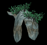 Earthroot