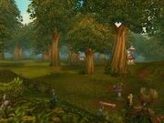 Elwynn Forest