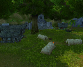 Kurzen's Compound