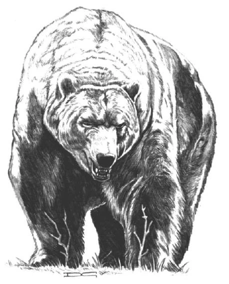 Dire bear | WoWWiki | Fandom